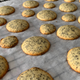Illustration for article titled Small and simple poppy seed cookies win the holiday cookie wars